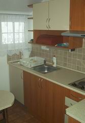 Kuchnia w apartamencie