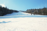 Skipiste - rot